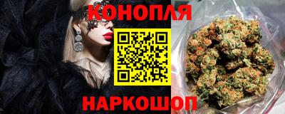 соль ск Камень-на-Оби