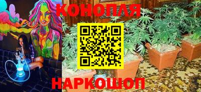 соль ск Камень-на-Оби