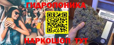 соль ск Камень-на-Оби