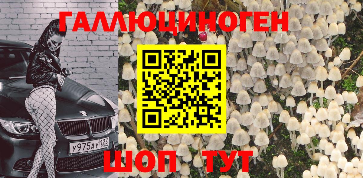 Галлюциногенные грибы Psilocybe  Вход с VPN  Чайковский 